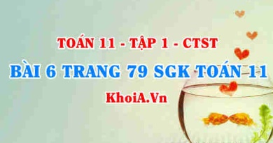 Bài 6 trang 79 SGK Toán 11 Tập 1 Chân trời sáng tạo